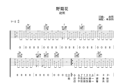 野菊花吉他谱 赵照-野菊花六线谱