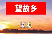 望故乡简谱 文夫《望故乡》简谱+动态视频#C调