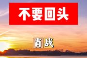 不要回头简谱 肖战《不要回头》简谱+动态视频升C调