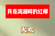 月亮湾湖畔的红柳简谱 大欢《月亮湾湖畔的红柳》简谱+动态视频降A调