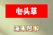 心头草简谱 海来阿木《心头草》简谱A调