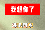 我想你了简谱 海来阿木《我想你了》C调简谱