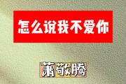 怎么说我不爱你简谱 萧敬腾《怎么说我不爱你》简谱D调