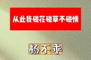 从此我碰花碰草不碰情简谱 杨不乖《从此我碰花碰草不碰情》简谱升F调