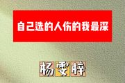 自己选的人伤的我最深简谱 杨雯梓《自己选的人伤的我最深》简谱E调