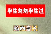 半生匆匆半生过简谱 方大树《半生匆匆半生过》简谱C调
