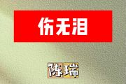伤无泪简谱 陈瑞《伤无泪》简谱降B调