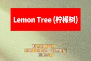 Lemon Tree 简谱 Fool's Garden (愚人花园乐队)《Lemon Tree 》(柠檬树)简谱A调