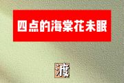 四点的海棠花未眠简谱 渡《四点的海棠花未眠》降B调简谱