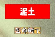 泥土简谱 生命树下《泥土》简谱A调