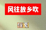 风往故乡吹简谱 任夏-风往故乡吹 G调简谱
