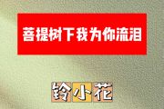 菩提树下我为你流泪简谱 玲小花《菩提树下我为你流泪》简谱E调