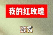 我的红玫瑰简谱 徐霞《我的红玫瑰》简谱