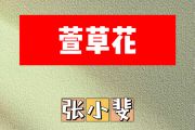 萱草花简谱 张小斐《萱草花》简谱降B调