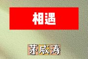 相遇简谱 茅威涛《相遇》简谱降E调