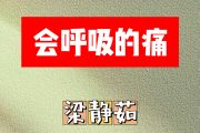 会呼吸的痛简谱 梁静茹《会呼吸的痛》简谱G调