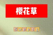 樱花草简谱 Sweety《樱花草》简谱D调