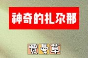 神奇的扎尕那简谱 贾曼草《神奇的扎尕那》简谱升C调