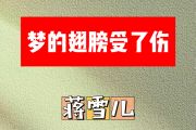 梦的翅膀受了伤简谱 蒋雪儿《梦的翅膀受了伤》简谱G调