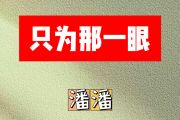 只为那一眼简谱 潘潘《只为那一眼》简谱G调