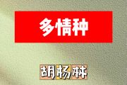 多情种简谱 胡杨林《多情种》简谱E调