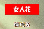 女人花简谱 梅艳芳-女人花降E调简谱