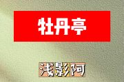 牡丹亭简谱 浅影阿《牡丹亭》简谱升C调