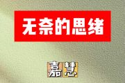 无奈爱的思绪简谱 嘉慧《无奈爱的思绪》简谱A调
