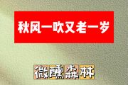 秋风一吹又老一岁简谱 微醺森林《秋风一吹又老一岁》简谱 升F调